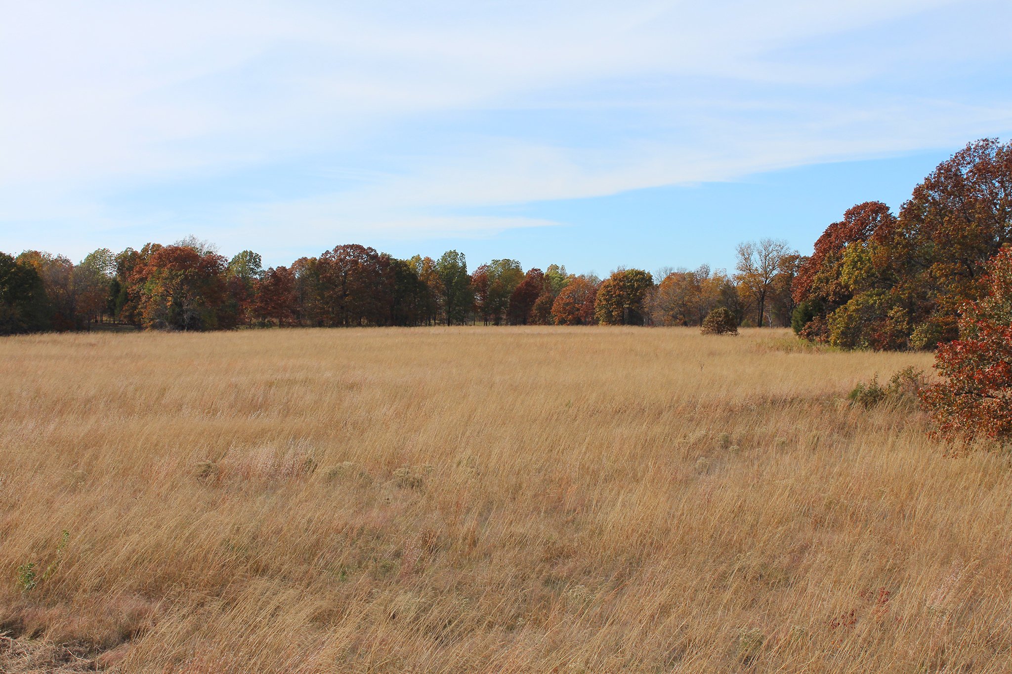 Tract 11 - OKLAHOMA LAND & REAL ESTATE AUCTION, 438 +/- Acres offered in 13 Tracts